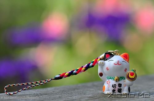 英文心语：我爱你，爱了整整一个曾经 (3)